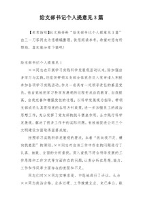 给支部书记个人提意见3篇