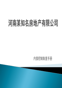 某知名地产公司内控制度修订