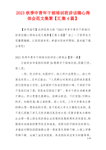 2023秋季中青年干部培训班讲话稿心得体会范文集聚【汇集4篇】