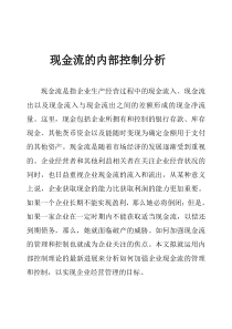 现金流的内部控制分析(doc 45页)(1)