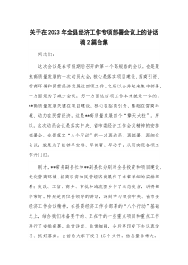 关于在2023年全县经济工作专项部署会议上的讲话稿2篇合集