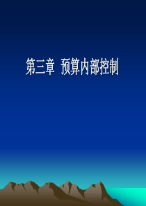 第3章全面预算内部控制