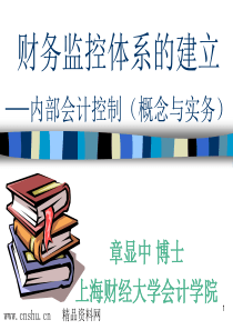 财务监控体系的建立-内部会计控制（概念与实务）