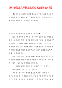 煤矿基层党支部民主生活会发言【精选4篇】