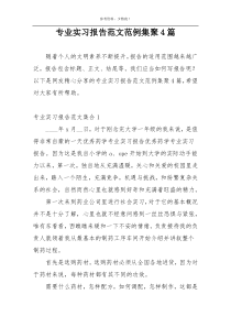 专业实习报告范文范例集聚4篇