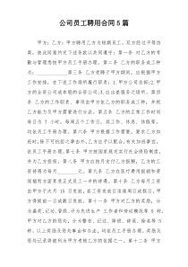 公司员工聘用合同5篇