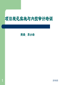 项目规范实施与内控审计培训