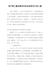 房产新人置业顾问年终总结明年计划5篇