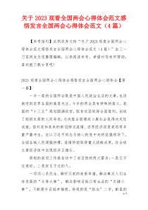 关于2023观看全国两会心得体会范文感悟发言全国两会心得体会范文（4篇）