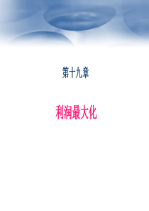 中级微观经济学chap19