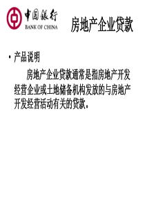 中行公司贷款