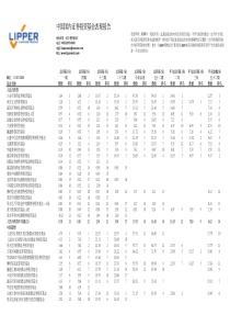 中国国内证券投资基金表现报告(PDF7)(1)