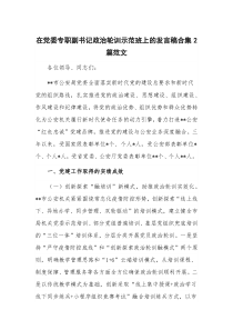 在党委专职副书记政治轮训示范班上的发言稿合集2篇范文