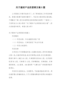 关于建材产业的营销方案5篇