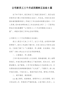 公司新员工三个月试用期转正总结5篇