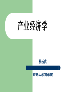 产业经济学南开大学商学院课件