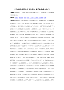 产业经济学比亚迪资料