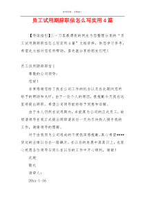 员工试用期辞职信怎么写实用4篇