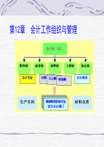 会计工作组织与管理