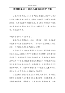 中级财务会计实训心得体会范文2篇