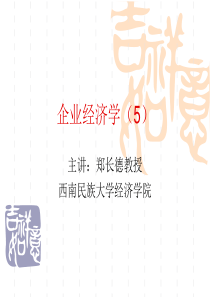 企业经济学（5）