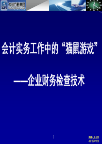 企业财务检查技术