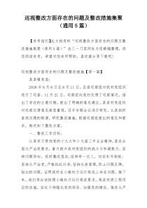 巡视整改方面存在的问题及整改措施集聚（通用5篇）