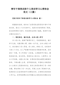 青年干部培训班个人培训学习心得体会范文（三篇）