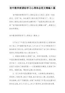 初中数学新课标学习心得体会范文精编5篇