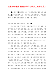 巡察干部教育整顿心得体会范文【推荐4篇】