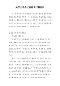 关于公司会议总结讲话稿范例