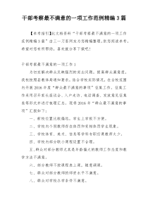 干部考察最不满意的一项工作范例精编3篇