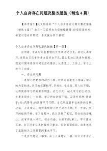 个人自身存在问题及整改措施（精选4篇）