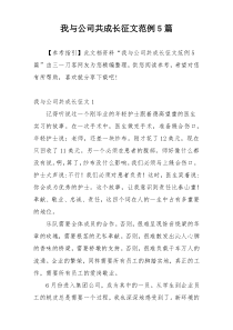 我与公司共成长征文范例5篇