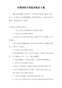 对领导班子的批评意见5篇