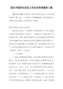 团支书组织生活会工作发言范例通用3篇