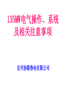 135MW电气操作、系统及相关注意事项