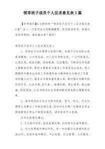 领导班子成员个人征求意见表3篇