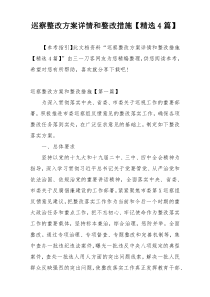 巡察整改方案详情和整改措施【精选4篇】