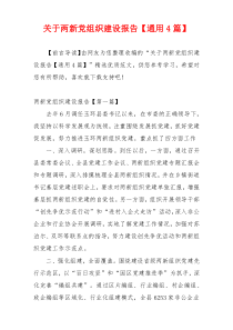 关于两新党组织建设报告【通用4篇】