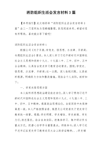 消防组织生活会发言材料3篇