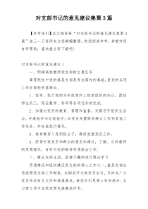 对支部书记的意见建议集聚3篇