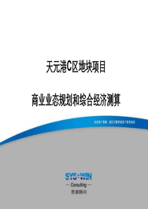 北京天元港业态规划及经济测算 (97页)