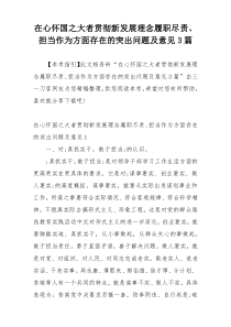 在心怀国之大者贯彻新发展理念履职尽责、担当作为方面存在的突出问题及意见3篇