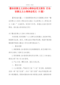 整治官僚主义后的心得体会范文报告 打击官僚主义心得体会范文（5篇）