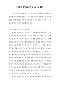 大学计算机实习总结（4篇）