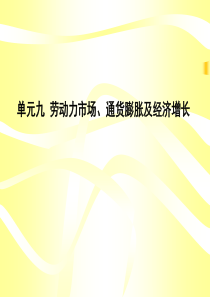 单元九劳动力市场,通货膨胀及经济增长a