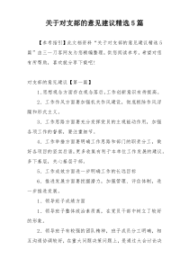 关于对支部的意见建议精选5篇