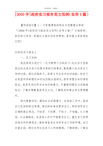 [3000字]政府实习报告范文范例（实用5篇）