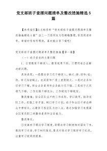 党支部班子查摆问题清单及整改措施精选5篇